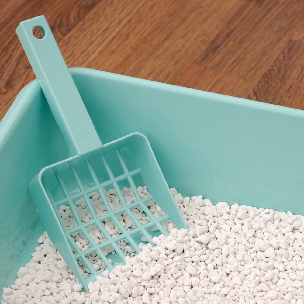 Litter Box Care Vet In Iowa City, IA 52240