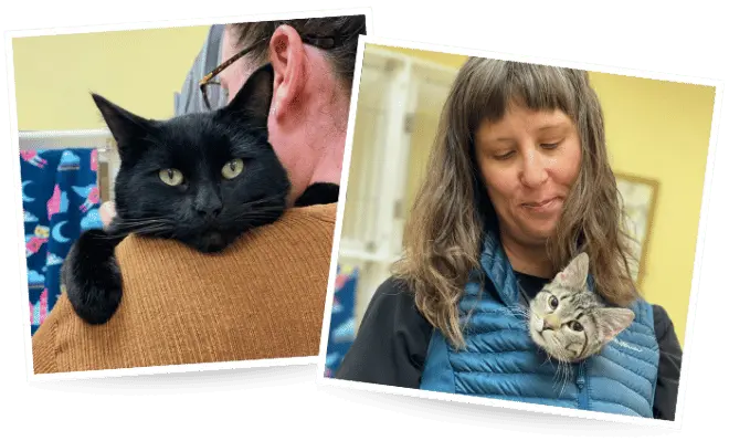 Clinic staff holding two cats